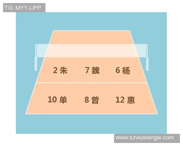 杭州排球队中路突破打法的专业分析与战术探讨