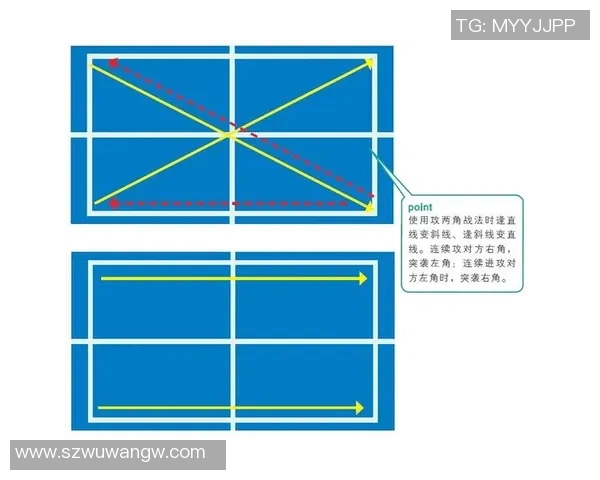 杭州乒乓球队反击战术解析与未来发展展望